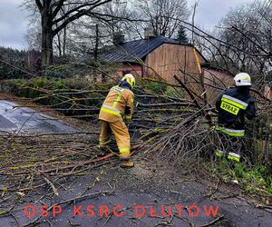 Niebezpieczne podmuchy wiatru w Łódzkiem. Strażacy interweniowali 140 razy