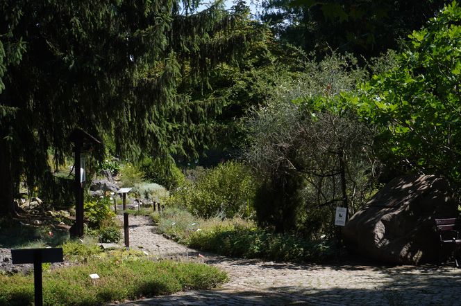 Ogród Botaniczny w Poznaniu 