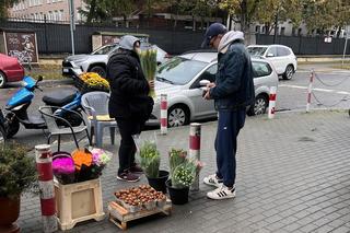 Maciej Kurzajewski kupuje Katarzynie Cichopek kwiaty na bazarku