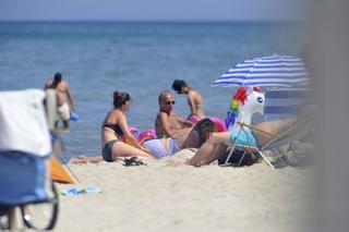 Najlepsze ciacho senatu