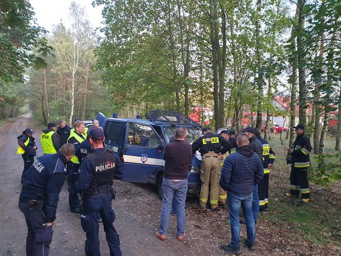 W podbydgoskim lesie zaginął grzybiarz 