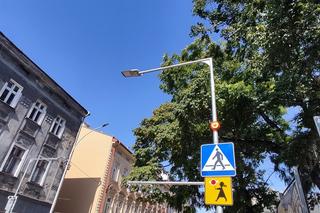 Kolejne aktywne przejścia dla pieszych w Przemyślu już gotowe [ZDJĘCIA]