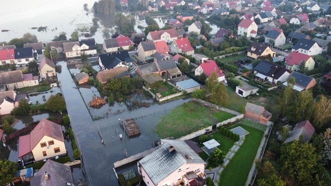 Powódź w Lubuskiem. Odra zalała ulice w Osiecznicy.