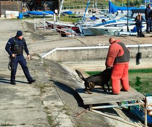 ćwiczenia nad Zalewem Sulejowskim