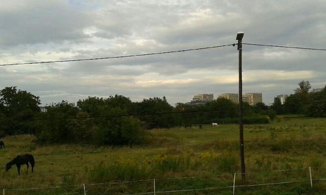 Wały wzdłuż Rudawy