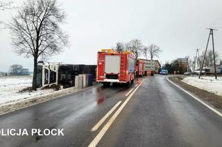 Wypadek ciężarówki z trzodą chlewną