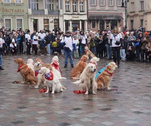 Wolontariusze WOŚP Poznań