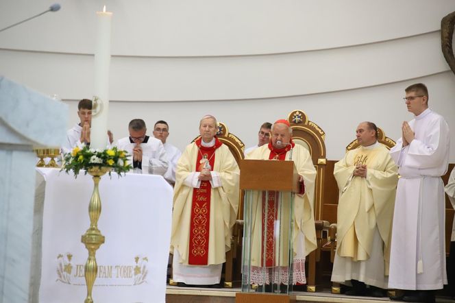 Kard. Dziwisz w Łagiewnikach: Mamy być świadkami miłosierdzia w życiu osobistym i społecznym
