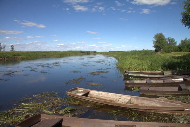 TOP 10 najbogatszych powiatów w Podlaskiem
