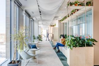 Arup - biuro z recyklingu