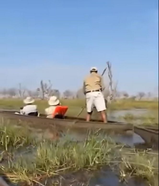 Horror na wakacjach. Zaatakowały ich słonie, wpadli do rzeki pełnej krokodyli