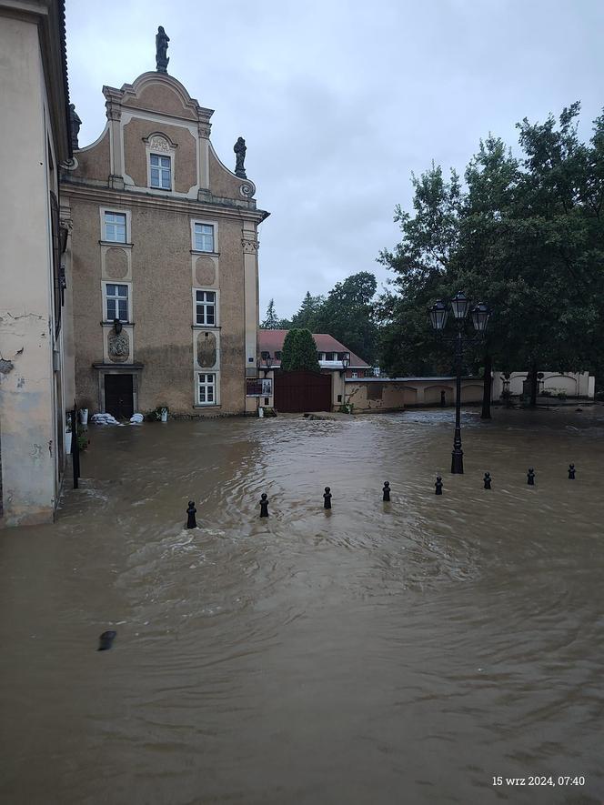 Krytyczna sytuacja w Kłodzku. "Okropnie leje, ulice i domy zalane, potrzebujemy pomocy"