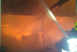 Duży pożar we Wrocławiu. Płonie hala z artykułami papierniczymi