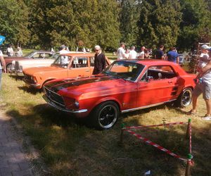 Siedlce:  16. Zlot Pojazdów Zabytkowych „Mrowisko”