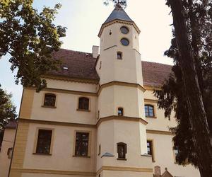 Warsztaty malarskie w MOK-u
