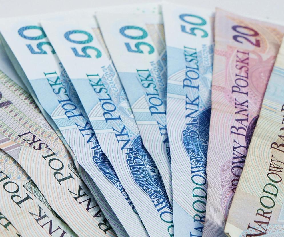 Co oznacza PLN, a co EUR? Sprawdź w quizie, czy rozpoznasz pieniądze po samym kodzie