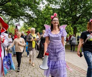 Dni Dąbrowy Górniczej ponownie w Parku Hallera ZDJĘCIA