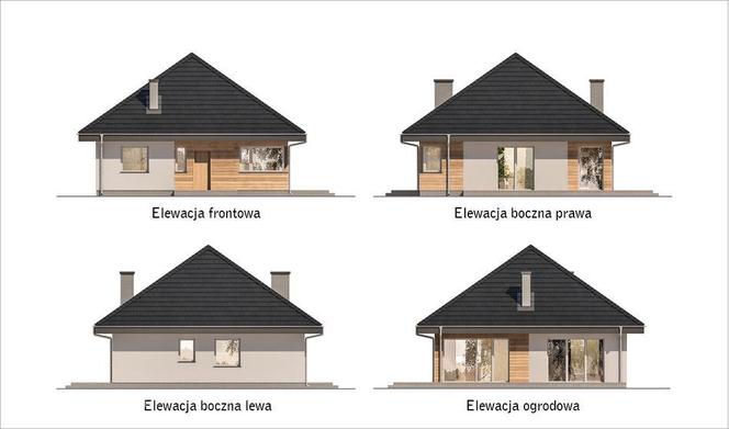 Projekt domu C444g Czterolistna koniczyna wariant VII - wizualizacje, plany, rysunek