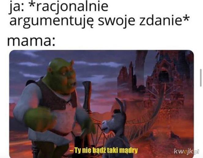 Memy z mamą w roli głównej 