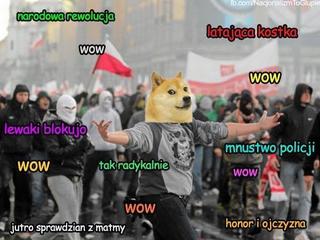 Marsz Niepodległości 2014 memy