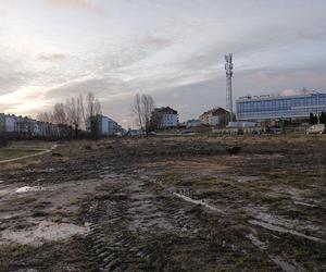 Wycinka drzew pod kolejne bloki. Mieszkańcy pozostaną bez miejsca do wypoczynku?