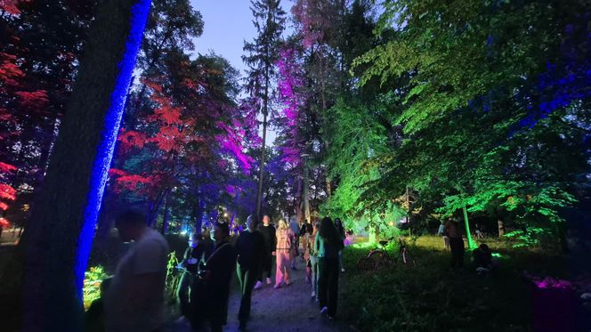 Olsztyn zamienił się w magiczną krainę. Park Świateł przyciągnął tłumy!