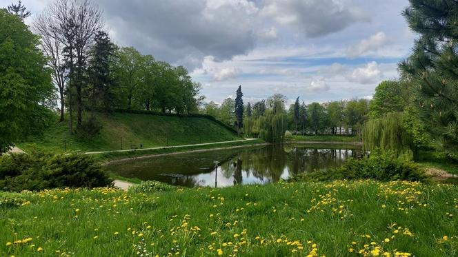 Zamość