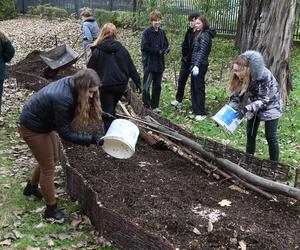 Studenci Politechniki Krakowskiej zbudowali pierwsze „glebarium”