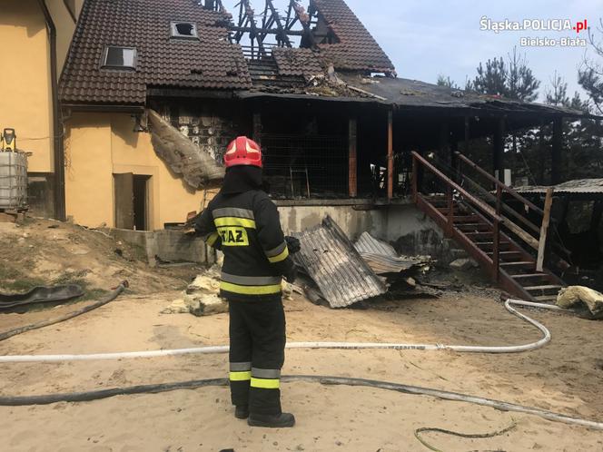 Czechowice-Dziedzice: Pożar w hotelu dla psów, dwóch zwierząt nie udało się uratować