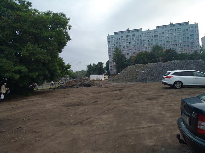 Wzdłuż parkingu Centrum Handlowego Arena wyrosną drzewa