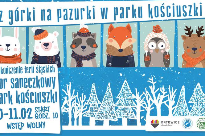 Katowice: Reaktywacja toru saneczkowego w Parku Kościuszki!