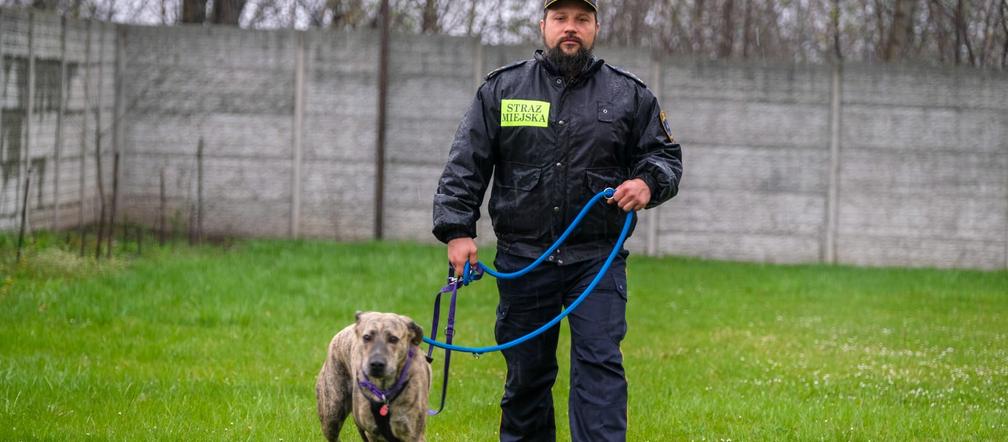 Pies w straży miejskiej