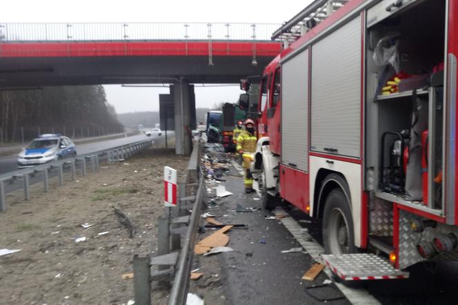 AKTUALIZACJA! Śmiertelny wypadek na S1 w Mierzęcicach. Nie żyją dwie osoby. Jedną z ofiar jest niemowlę! [ZDJĘCIA]