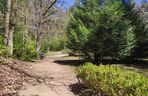Arboretum w Kopnej Górze. Puszcza w pigułce