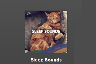 Kanał Sleep Sounds Spotify