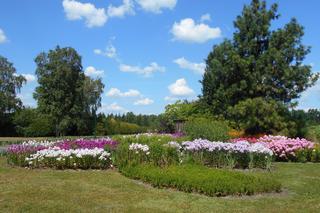 W tych parkach w Warszawie UPRAWIAJĄ SEKS. Będziesz w szoku!