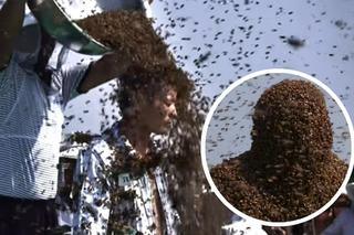 Ile pszczół zmieści się na ciele człowieka?