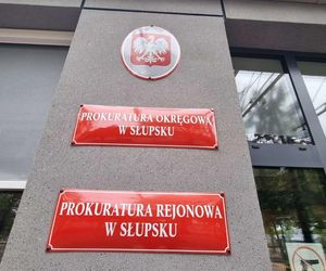 Nowe informacje o śmierci 2,5-latki. Adwokat matki zastępczej zabrał głos