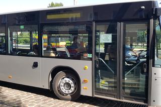 Pierwszy kurs autobusu przegubowego w Grudziądzu