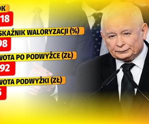 TAK WALORYZOWAŁ PiS