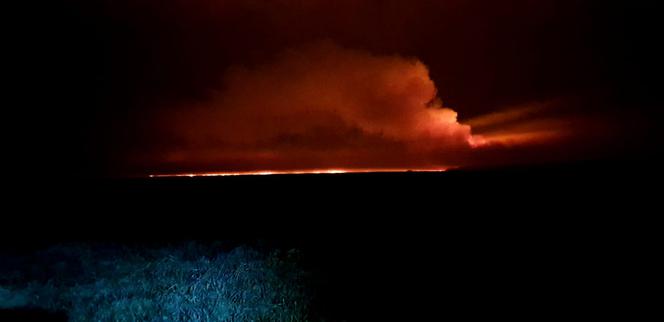 Drony z Gliwic pomagają w gaszeniu pożaru w Biebrzańskim Parku Narodowym