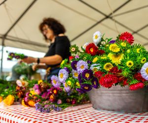Wielki piknik kwietny finał 42. edycji konkursu „Warszawa w kwiatach”