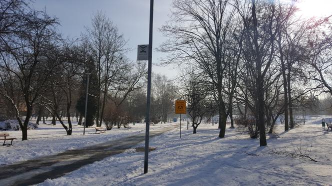 Park Hallera w Dąbrowie Górniczej