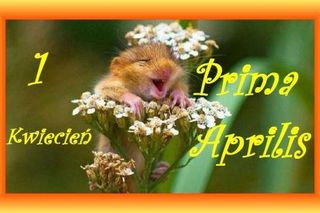 Kartki i grafiki na Prima Aprilis 2026. To z pewnością zaskoczy Twoich bliskich! [1 KWIETNIA 2026]