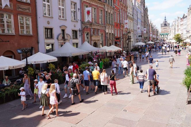 Oto największe dzielnice w Gdańsku