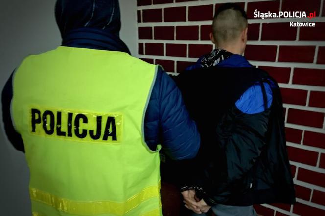 Chcieli wbić na Mayday z prochami! Policja czekała na nich z psami! [ZDJĘCIA]