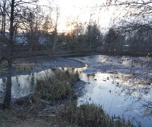 Tu powstanie kolejne miejske do rekreacji w Białymstoku. Tak obecnie wygląda staw przy Bema