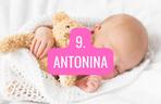 9. Antonina