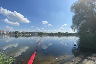 Katastrofa ekologiczna na Odrze. W Gryfinie i Żabnicy trwa stawianie zapór na rzece [ZDJĘCIA]
