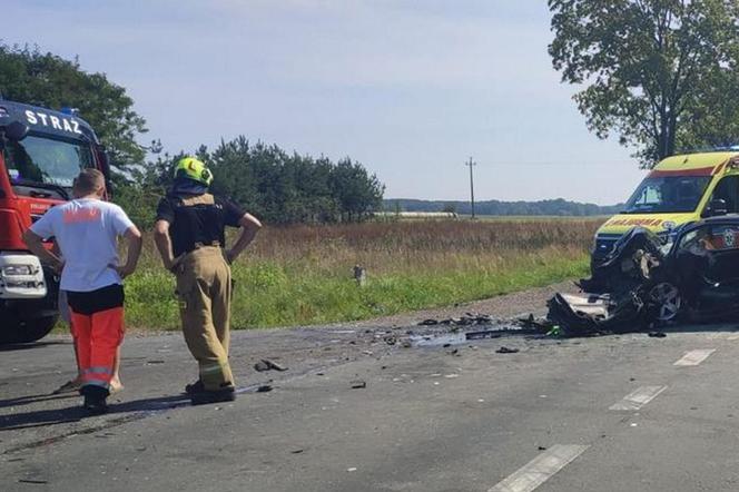 Tragiczny wypadek pod Płockiem. Zginął 22-latek i 16-letnia pasażerka. Szokujące, co ustaliła prokuratura